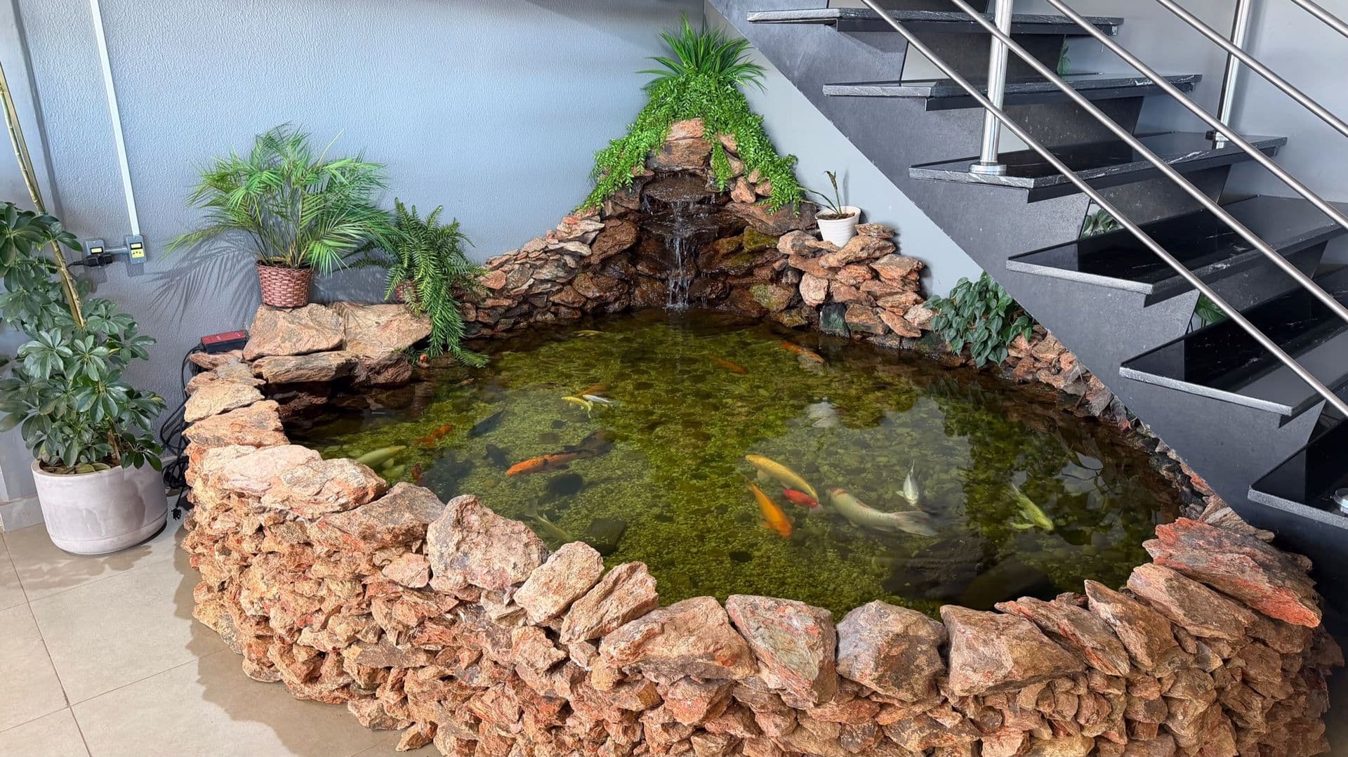 Lago de carpas sob a escada do showroom da Paulivel